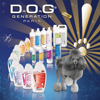 visit Dog Generation website
